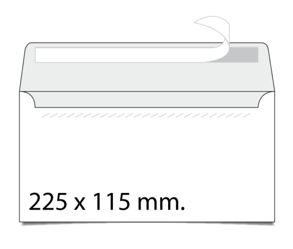 Tamaño sobre americano personalizado publiggbox